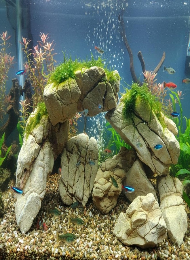 RUKDA Natural Elephant Skin Stone for Aquarium & Aquascaping - Textured Elephant Rock Hardscape for Betta, Shrimp & Planted Tanks (2.7, Kilograms) - Image 1